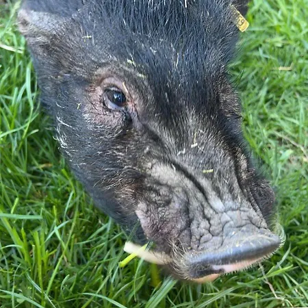 Schlossberg Couette-café 3*