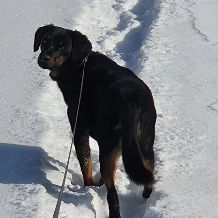 Bed & Breakfast Schlossberg