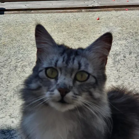 Bed & Breakfast Schlossberg 3*