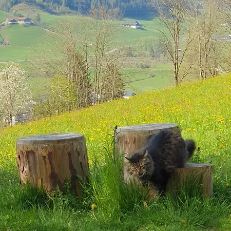 Schlossberg Bed & Breakfast Mittersill