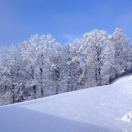 Schlossberg Bed & Breakfast