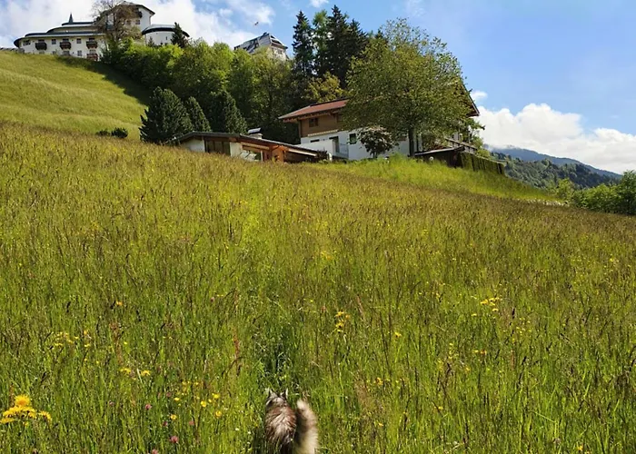 Bed & Breakfast Schlossberg 3*