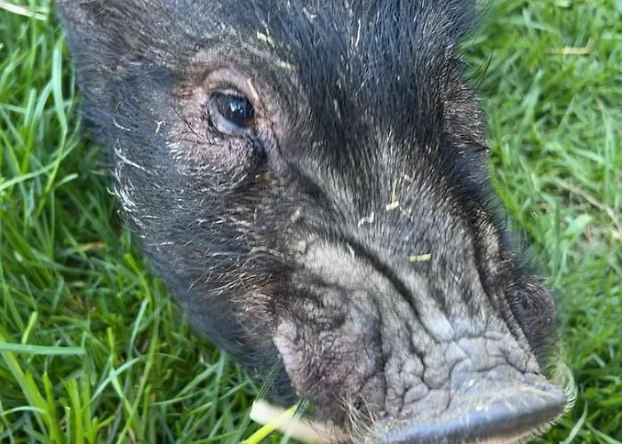 Schlossberg Bed & Breakfast 3*