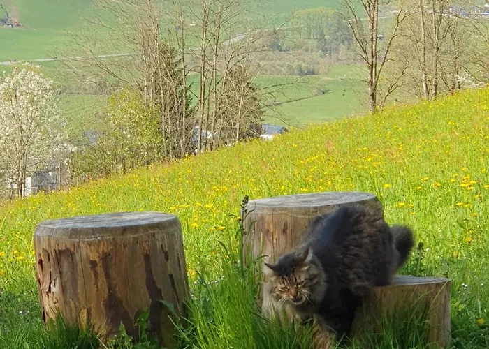 Schlossberg Bed & Breakfast Mittersill